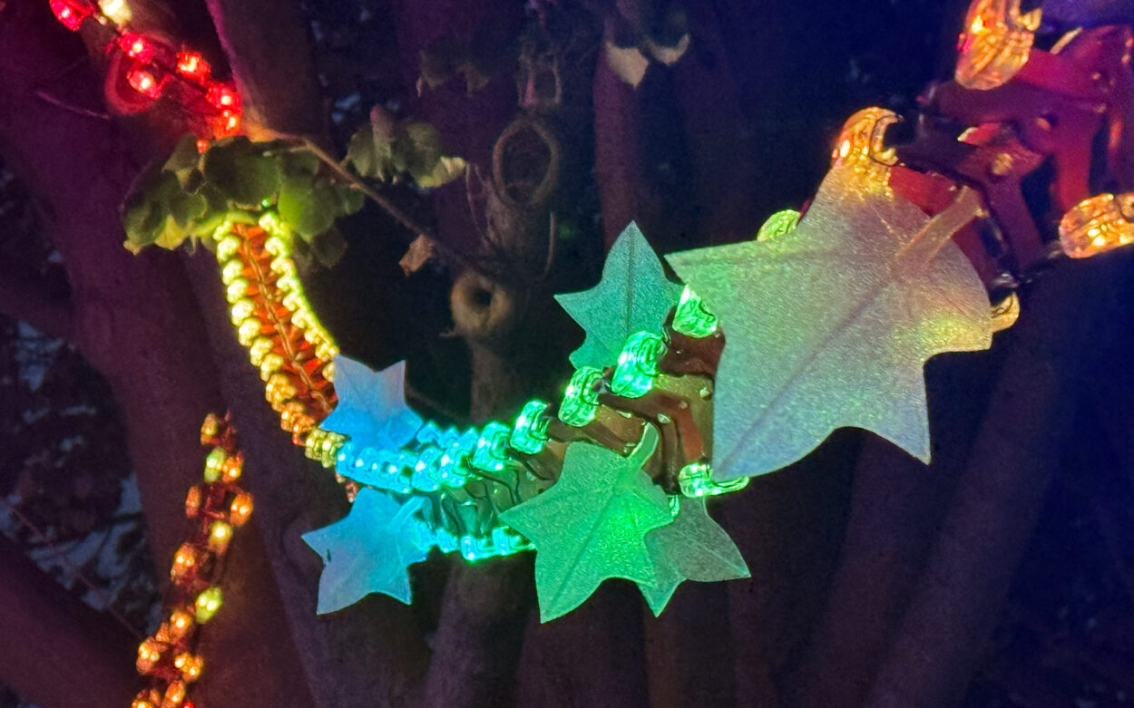 Luminous Vines