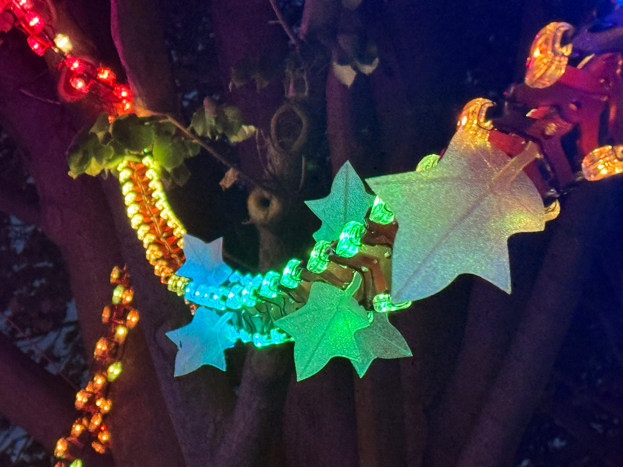 Luminous Vines
